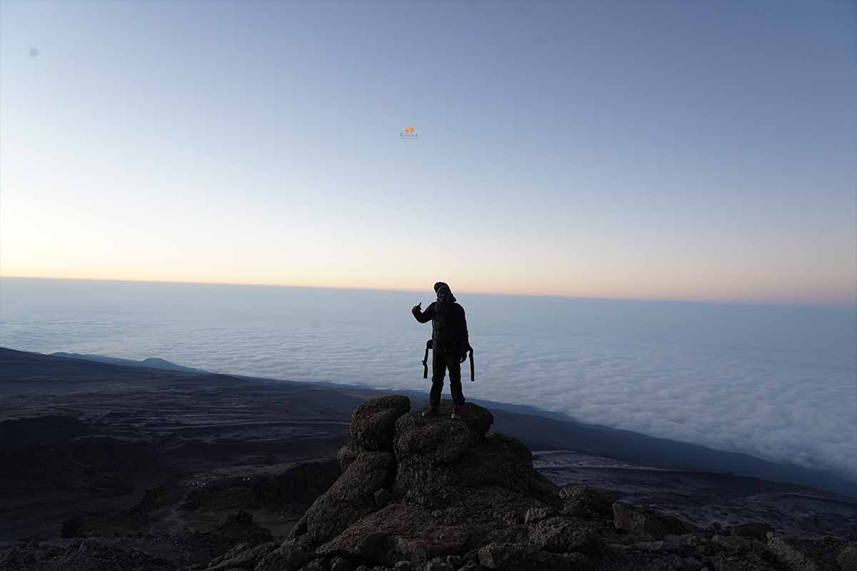 kilimanjaro success rate